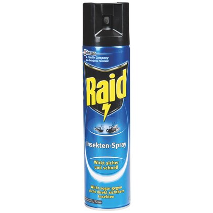 Raid Insect Spray 400 ml