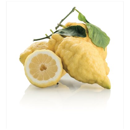 Amalfi Zitronen mit Blatt KL.1 4 kg = ca. 14 Stk. 4 kg